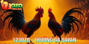 123dzo trường gà savan