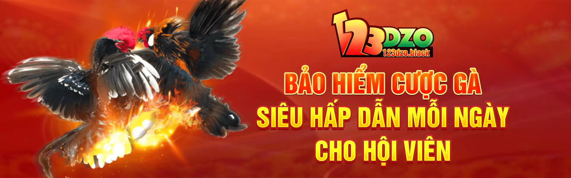 Bảo hiểm cược gà