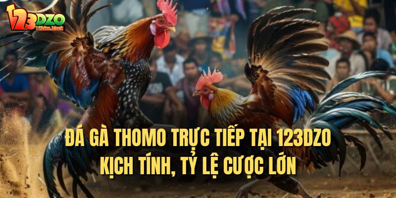 đá gà Thomo