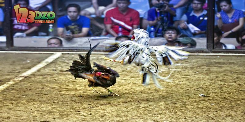 Không nên bỏ qua thông tin tổng quan hữu ích này khi tìm hiểu