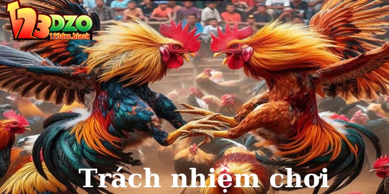 Đôi nét giới thiệu về chính sách trách nhiệm chơi 123DZO