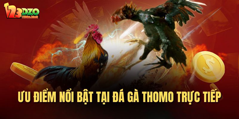 Ưu điểm nổi bật tại đá gà thomo trực tiếp